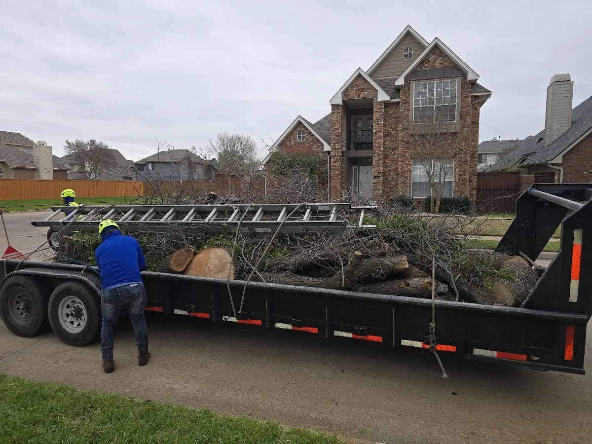 Expert Tree Fertilization with proper safety equipment in Newton